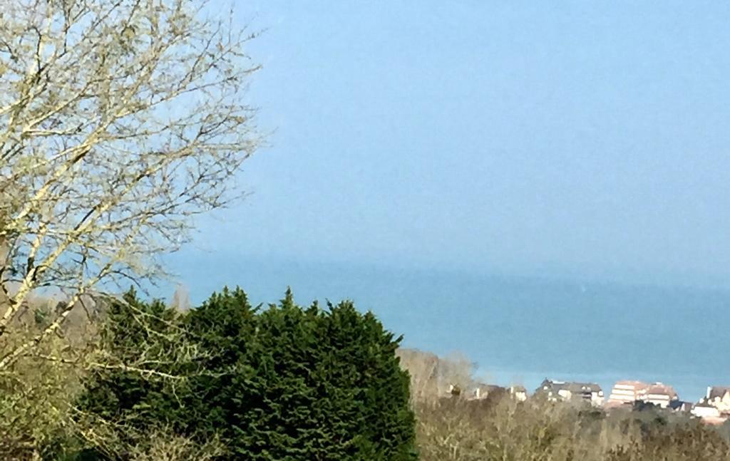 Manoir De Benerville Bed & Breakfast Deauville Εξωτερικό φωτογραφία