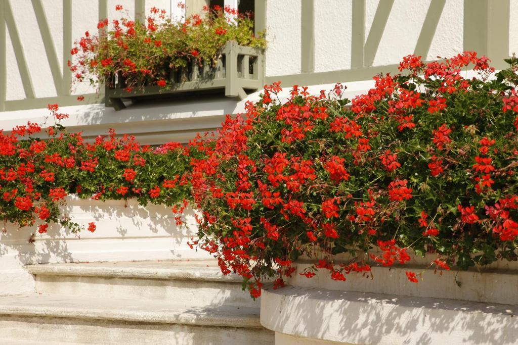 Manoir De Benerville Bed & Breakfast Deauville Εξωτερικό φωτογραφία