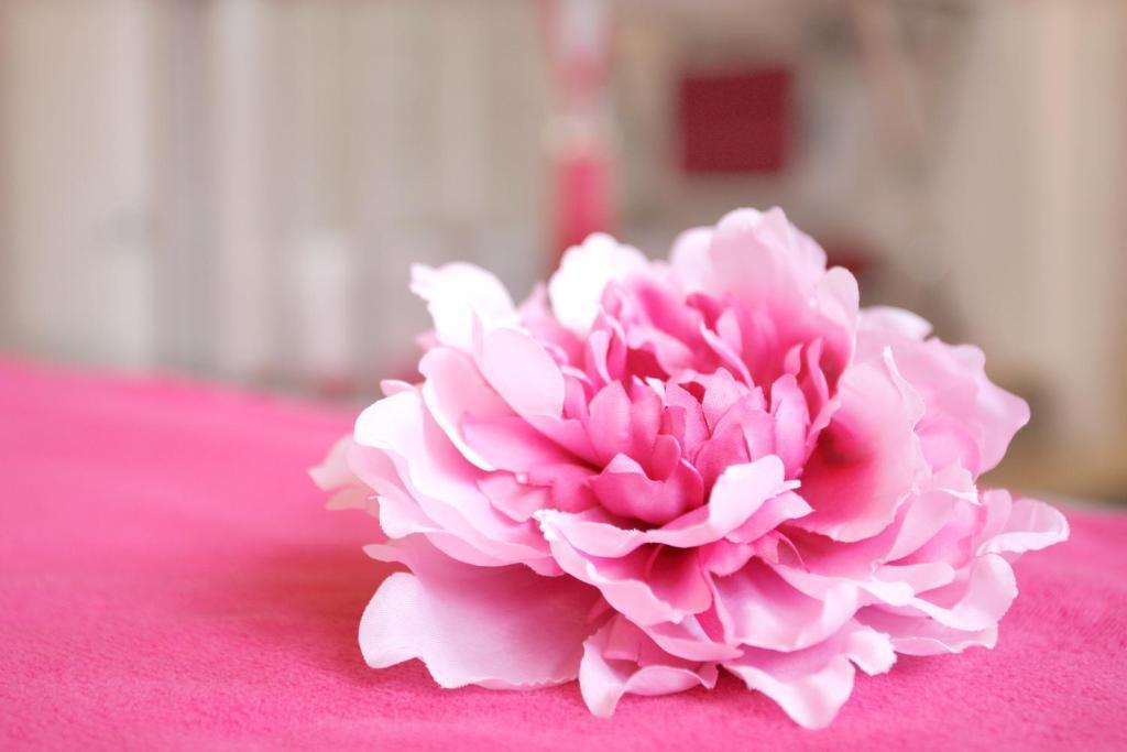 Manoir De Benerville Bed & Breakfast Deauville Εξωτερικό φωτογραφία