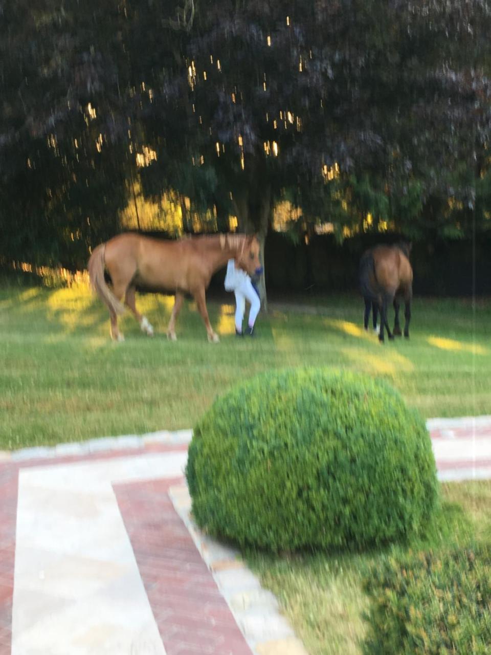 Manoir De Benerville Bed & Breakfast Deauville Εξωτερικό φωτογραφία